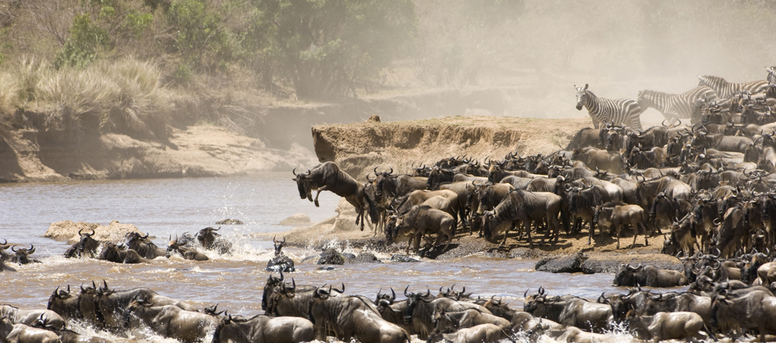 Maasai Mara National Reserve – Kenya’s Wildlife Gem