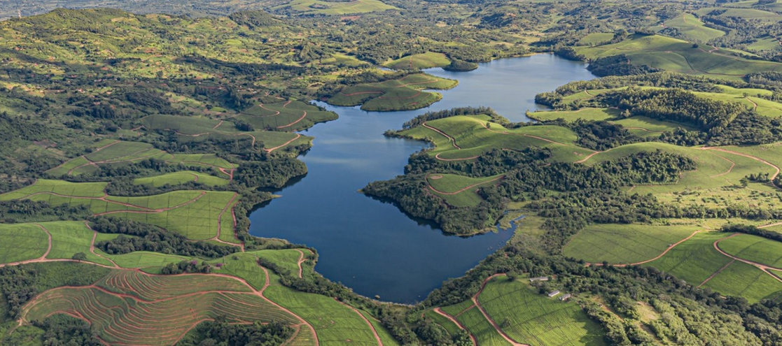 The Eastern Highlands of Zimbabwe