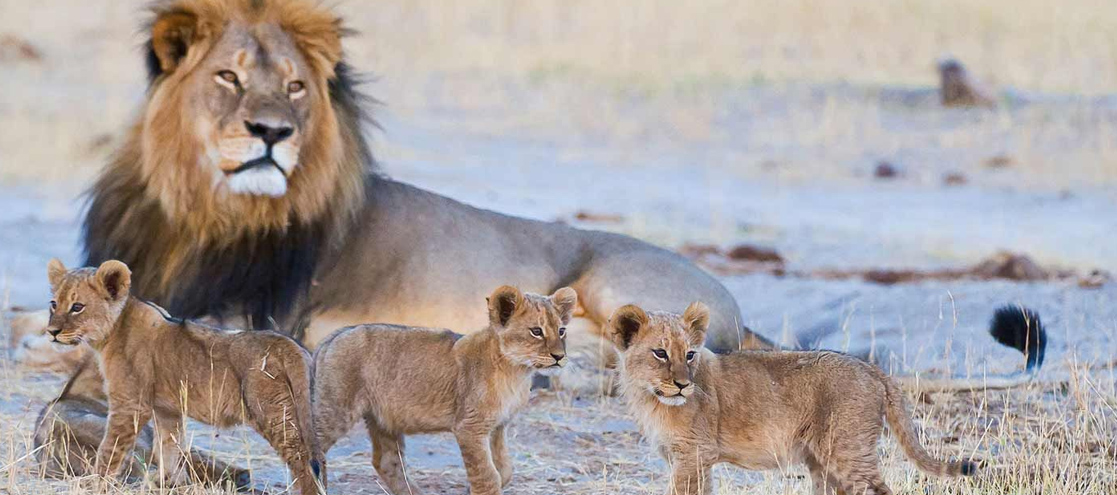 Hwange National Park